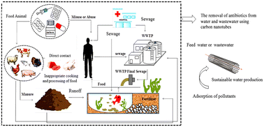 Graphical abstract: A comprehensive review on the removal of antibiotics from water and wastewater using carbon nanotubes: synthesis, performance, and future challenges