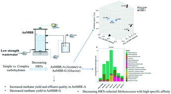 Graphical abstract: Performance of AnMBRs treating low strength wastewater with different carbon sources at decreasing HRTs and its linkage to Methanosaeta with high specific affinity