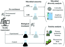 Graphical abstract: Population dynamics of microbial native consortia efficient for textile wastewater degradation