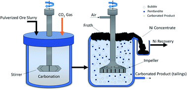 Graphical abstract: Mineral carbonation for serpentine mitigation in nickel processing: a step towards industrial carbon capture and storage
