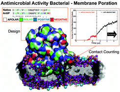 Graphical abstract: Virus-inspired designs of antimicrobial nanocapsules