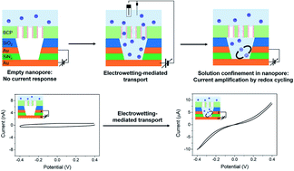 Graphical abstract: Potential-induced wetting and dewetting in pH-responsive block copolymer membranes for mass transport control
