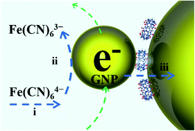 Graphical abstract: Nanocollision mediated electrochemical sensing of host–guest chemistry at a nanoelectrode surface