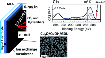 Graphical abstract: Dynamics over a Cu–graphite electrode during the gas-phase CO2 reduction investigated by APXPS