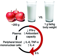 Graphical abstract: Apple consumption reduces markers of postprandial inflammation following a high fat meal in overweight and obese adults: A randomized, crossover trial