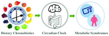 Graphical abstract: Health benefits of dietary chronobiotics: beyond resynchronizing internal clocks