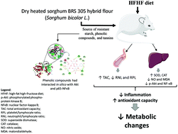 Graphical abstract: Dry heated sorghum BRS 305 hybrid flour as a source of resistant starch and tannins improves inflammation and oxidative stress in Wistar rats fed with a high-fat high-fructose diet