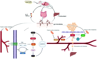 Graphical abstract: Selenium-rich royal jelly inhibits hepatocellular carcinoma through PI3K/AKT and VEGF pathways in H22 tumor-bearing mice