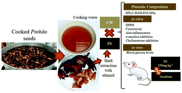 Graphical abstract: Bioactivity screening of pinhão (Araucaria Angustifolia (Bertol.) Kuntze) seed extracts: the inhibition of cholinesterases and α-amylases, and cytotoxic and anti-inflammatory activities
