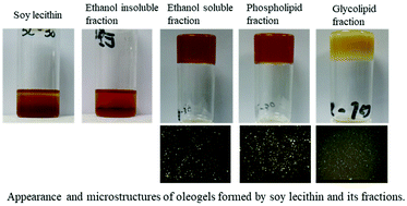 Graphical abstract: Oil-gelling properties of soy lecithin fractions