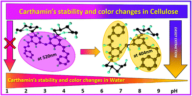 Graphical abstract: Stability limits of a red Carthamin–cellulose complex as a potential food colourant