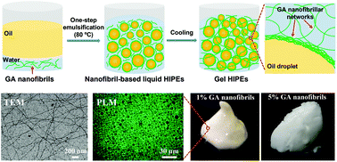Graphical abstract: Robust and highly adaptable high internal phase gel emulsions stabilized solely by a natural saponin hydrogelator glycyrrhizic acid