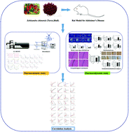 Graphical abstract: An integrated strategy using LC-MS/MS combined with in vivo microdialysis for the simultaneous determination of lignans of Schisandra chinensis (Turcz.) Baill. Fructus and endogenous neurotransmitters: application in pharmacokinetic and pharmacodynamic studies