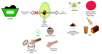 Graphical abstract: Food and cosmetic applications of the avocado seed: a review