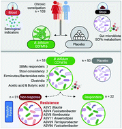 Graphical abstract: A randomised, double-blind, placebo-controlled trial of Bifidobacterium bifidum CCFM16 for manipulation of the gut microbiota and relief from chronic constipation