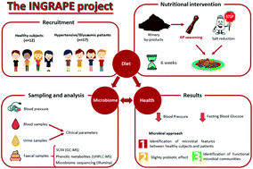 Graphical abstract: Hypertension- and glycaemia-lowering effects of a grape-pomace-derived seasoning in high-cardiovascular risk and healthy subjects. Interplay with the gut microbiome