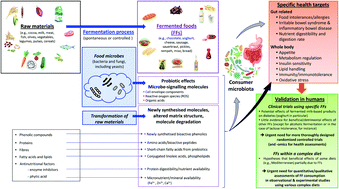 Graphical abstract: Underlying evidence for the health benefits of fermented foods in humans