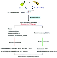 Graphical abstract: Protective effects of camellia and olive oils against cognitive impairment via gut microbiota-brain communication in rats