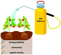 Graphical abstract: New bifunctional ionic liquid-based plant systemic acquired resistance (SAR) inducers with an improved environmental hazard profile