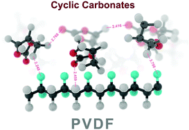 Graphical abstract: Experimental and theoretical studies on the formation of pure β-phase polymorphs during fabrication of polyvinylidene fluoride membranes by cyclic carbonate solvents
