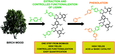 Graphical abstract: Simultaneous extraction and controlled chemical functionalization of hardwood lignin for improved phenolation