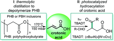 Graphical abstract: Bio-based crotonic acid from polyhydroxybutyrate: synthesis and photocatalyzed hydroacylation