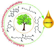 Graphical abstract: Synthesis of (hemi)cellulosic lubricant base oils via catalytic coupling and deoxygenation pathways