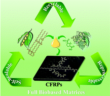 Graphical abstract: Recyclable, reprocessable, self-adhered and repairable carbon fiber reinforced polymers using full biobased matrices from camphoric acid and epoxidized soybean oil