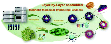 Graphical abstract: Layer-by-layer assembled magnetic molecularly imprinted nanoparticles for the highly specific recovery of luteolin from honeysuckle leaves
