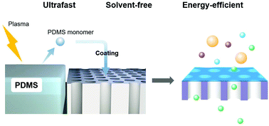 Graphical abstract: Solvent-free, ultrafast and ultrathin PDMS coating triggered by plasma for molecule separation and release