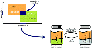 Graphical abstract: Extractive in situ product removal for the application of naturally produced l-alanine as an amine donor in enzymatic metaraminol production