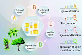 Graphical abstract: Review on lignin modifications toward natural UV protection ingredient for lignin-based sunscreens