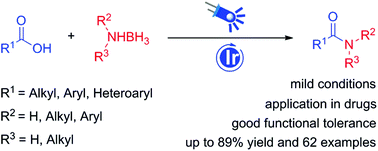 Graphical abstract: Visible light-mediated synthesis of amides from carboxylic acids and amine-boranes