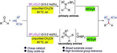 Graphical abstract: BF3·Et2O as a metal-free catalyst for direct reductive amination of aldehydes with amines using formic acid as a reductant