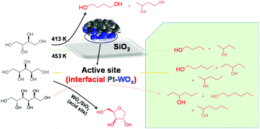 Graphical abstract: Hydrodeoxygenation of C4–C6 sugar alcohols to diols or mono-alcohols with the retention of the carbon chain over a silica-supported tungsten oxide-modified platinum catalyst