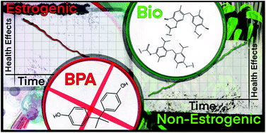 Graphical abstract: BPA-free high-performance sustainable polycarbonates derived from non-estrogenic bio-based phenols