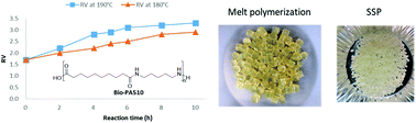 Graphical abstract: Bio-based poly(pentamethylene sebacamide) by solid-state polymerization from bio-based monomers