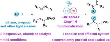Graphical abstract: Convenient C(sp3)–H bond functionalisation of light alkanes and other compounds by iron photocatalysis