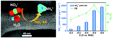 Graphical abstract: High-efficiency electrochemical nitrite reduction to ammonium using a Cu3P nanowire array under ambient conditions