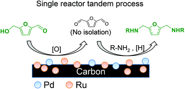 Graphical abstract: Single-reactor tandem oxidation–amination process for the synthesis of furan diamines from 5-hydroxymethylfurfural