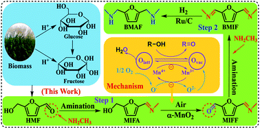 Graphical abstract: An efficient approach to synthesizing 2,5-bis(N-methyl-aminomethyl)furan from 5-hydroxymethylfurfural via 2,5-bis(N-methyl-iminomethyl)furan using a two-step reaction in one pot