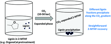 Graphical abstract: Selective lignin fractionation using CO2-expanded 2-methyltetrahydrofuran (2-MTHF)