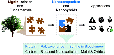 Graphical abstract: Multifunctional lignin-based nanocomposites and nanohybrids