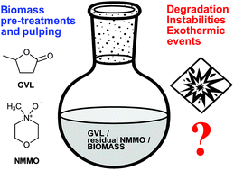 Graphical abstract: On the chemical interactions of the biomass processing agents γ-valerolactone (GVL) and N-methylmorpholine-N-oxide (NMMO)