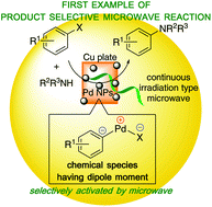 Graphical abstract: Product selective reaction controlled by the combination of palladium nanoparticles, continuous microwave irradiation, and a co-existing solid; ligand-free Buchwald–Hartwig amination vs. aryne amination