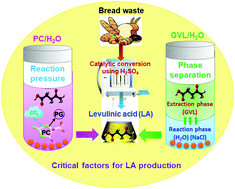 Graphical abstract: Critical factors for levulinic acid production from starch-rich food waste: solvent effects, reaction pressure, and phase separation