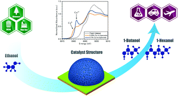 Graphical abstract: Uncovering the active sites and demonstrating stable catalyst for the cost-effective conversion of ethanol to 1-butanol