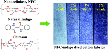 Graphical abstract: Environment-friendly nanocellulose-indigo dyeing of textiles