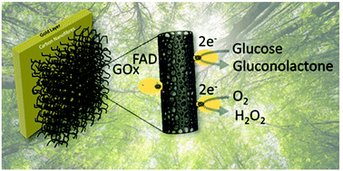 Graphical abstract: Sustainable mesoporous carbon nanostructures derived from lignin for early detection of glucose
