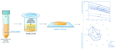 Graphical abstract: Innovative methodology for marine collagen–chitosan–fucoidan hydrogels production, tailoring rheological properties towards biomedical application